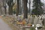 Krakow Military Cemetery,Graves of January Uprising veterans,1 Prandoty street,Krakow,Poland