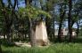 I WW, Military cemetery No. 202 Tarnow -obelisk, Szpitalna street, Tarnow, Poland7