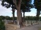 World War I Cemetery nr 309 in Trzciana 7