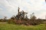 August 2008 tornado in Poland - Jewish cemetery