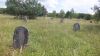 Cmentarz żydowski Sobków Jewish cemetery in Sobkow 1