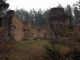 Ruiny zboru ariańskiego w Gruszczynie