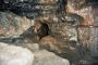 Swietokrzyskie lagow jaskinia zbojecka 3425 16
