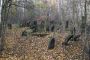 New Jewish Cementery(Lodz) 10 (js)