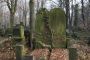 New Jewish Cementery(Lodz) 26 (js)