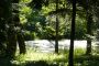 Dendrology Garden Poznan water