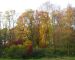 Park pałacowy w Chociulach jesienią