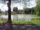 Jezioro park kuronia