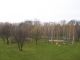 Park Legnica 5