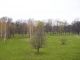 Park Legnica 7