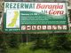 Kamesznica w drodze na Baranią Górę 5