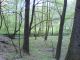 Forest nature reserve Grady nad Moszczenica7, Poland, 6 May 2006