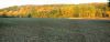 Las Mariański panorama jesień długa