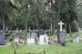 Pszczyna - groby na cmentarzu ewangelickim