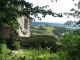 Zamek Tenczyn - widok z zamku