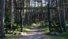 Ścieżka lichenologiczno-kulturowa w Leśnie, brama
