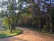 Kampinoski Park Narodowy - okolice Palmir 